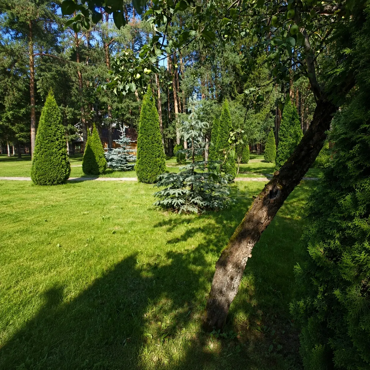 Коммерческое помещение 1 768,3 м² в ЖК «Гостиница " Репутация"»