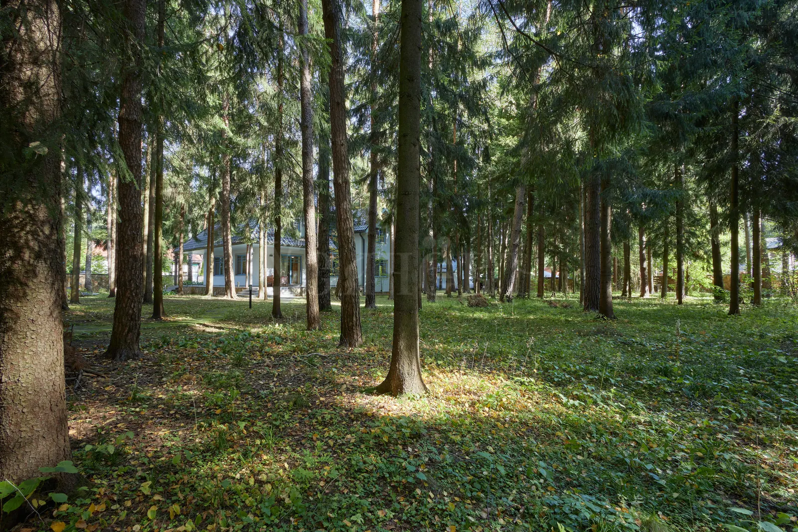 Загородный дом 229,3 м²