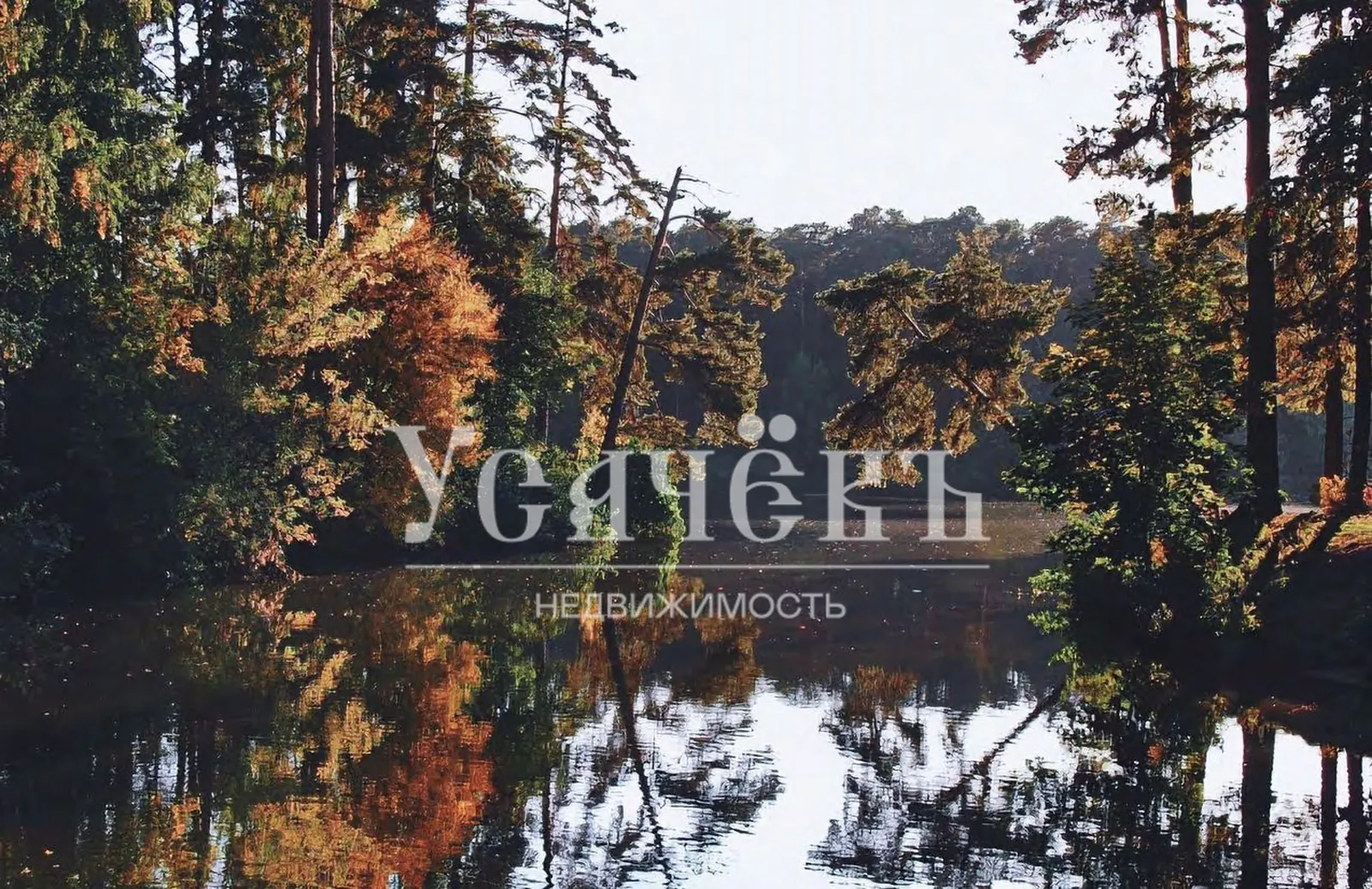 Загородный дом