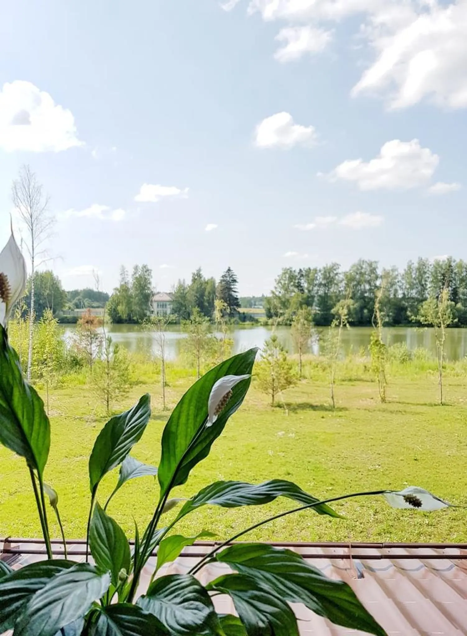 Загородный дом 223 м²
