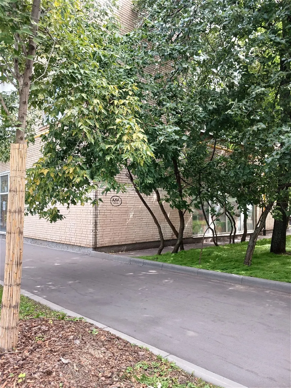 Коммерческое помещение 114 м²