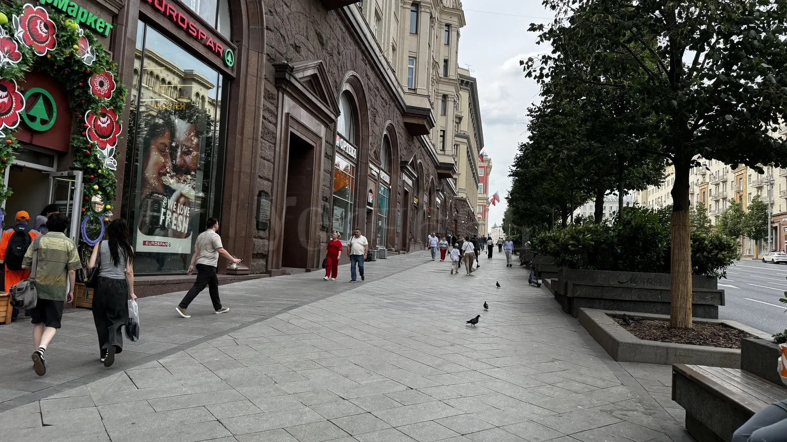 Коммерческое помещение 424,6 м²