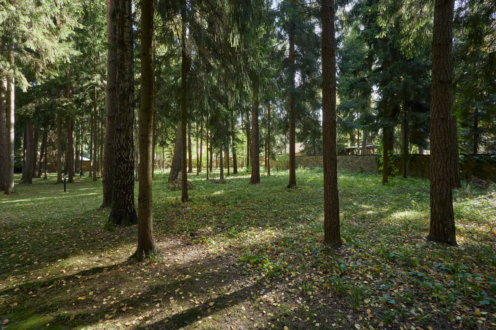 Загородный дом