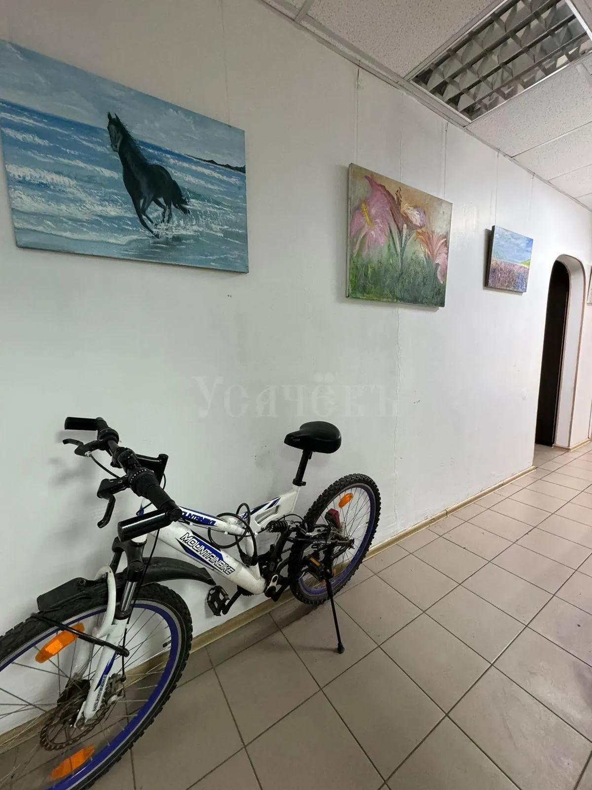 Коммерческое помещение 142,1 м²