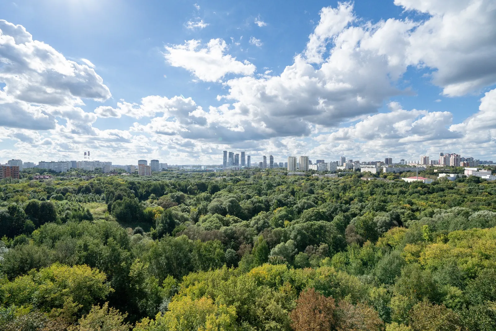 2-комнатная квартира 50,2 м² в ЖК «Городские резиденции SPIRES»
