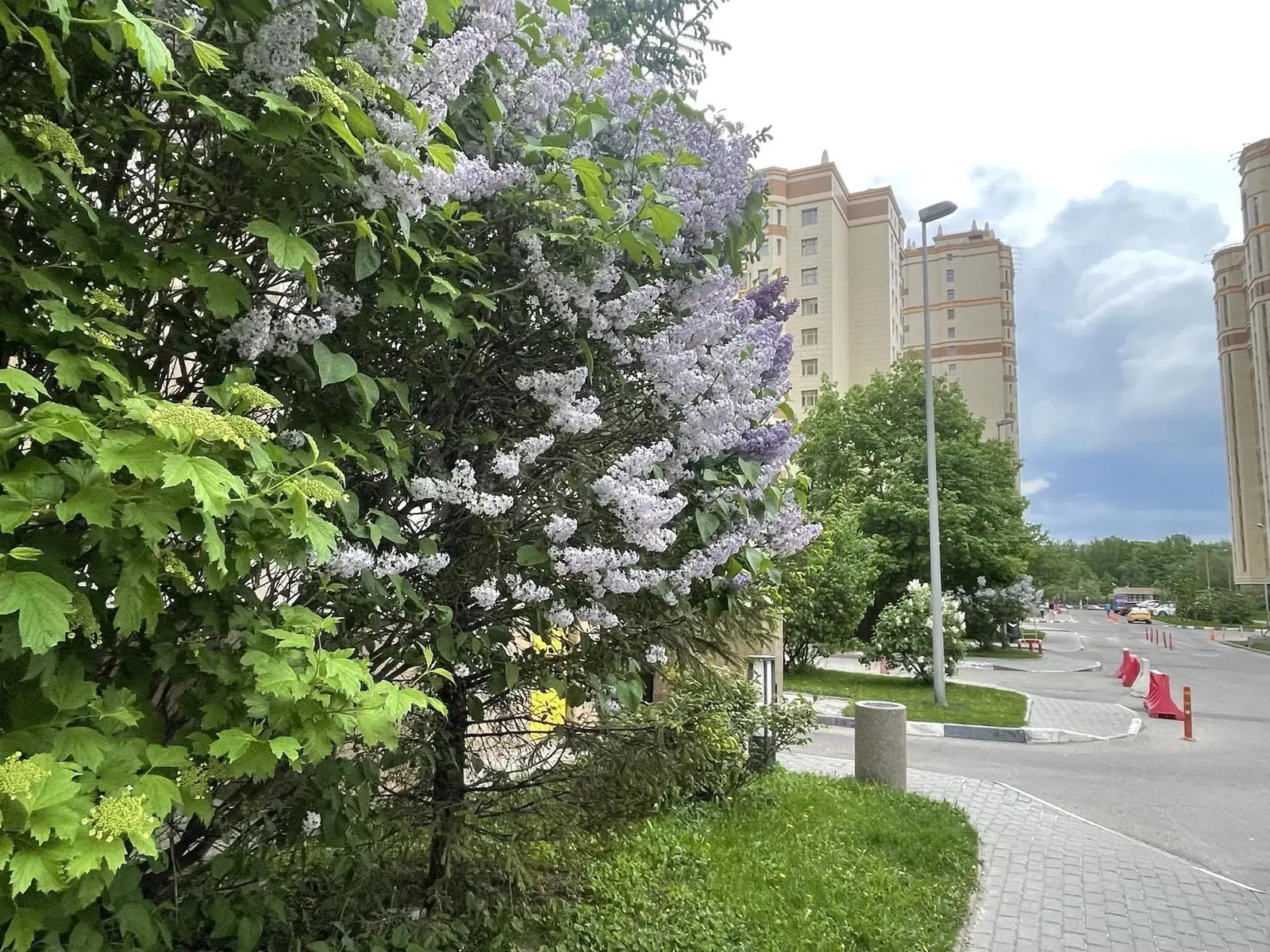 4-комнатная квартира 149,7 м² в ЖК «Dominion»