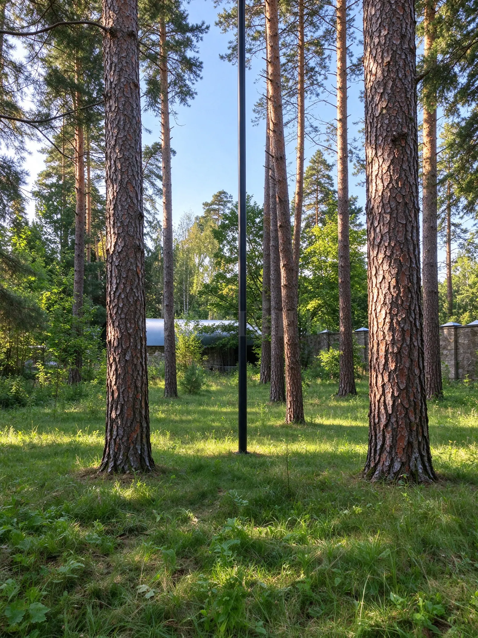 Загородный дом
