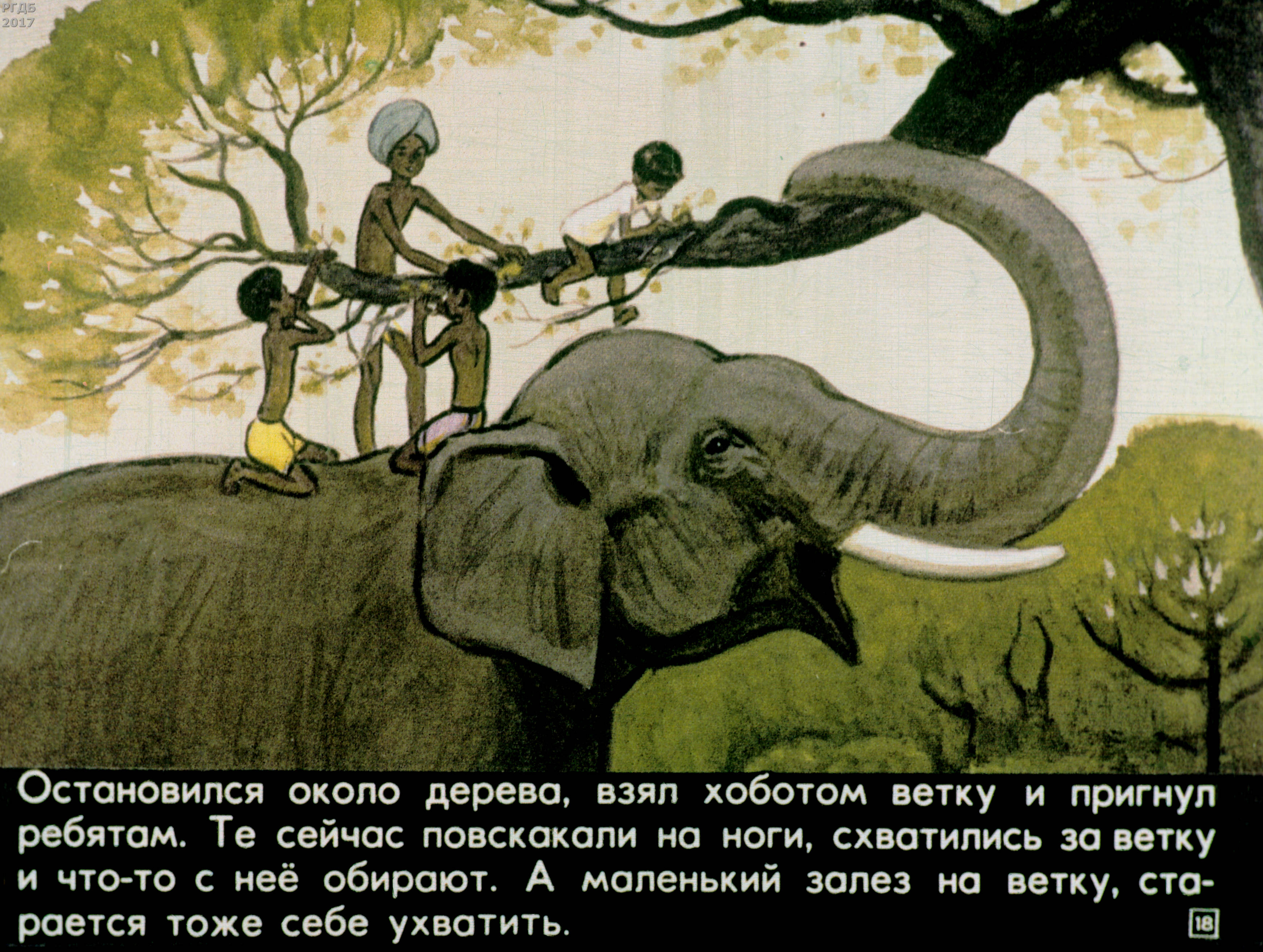Рассказ Житкова про слона