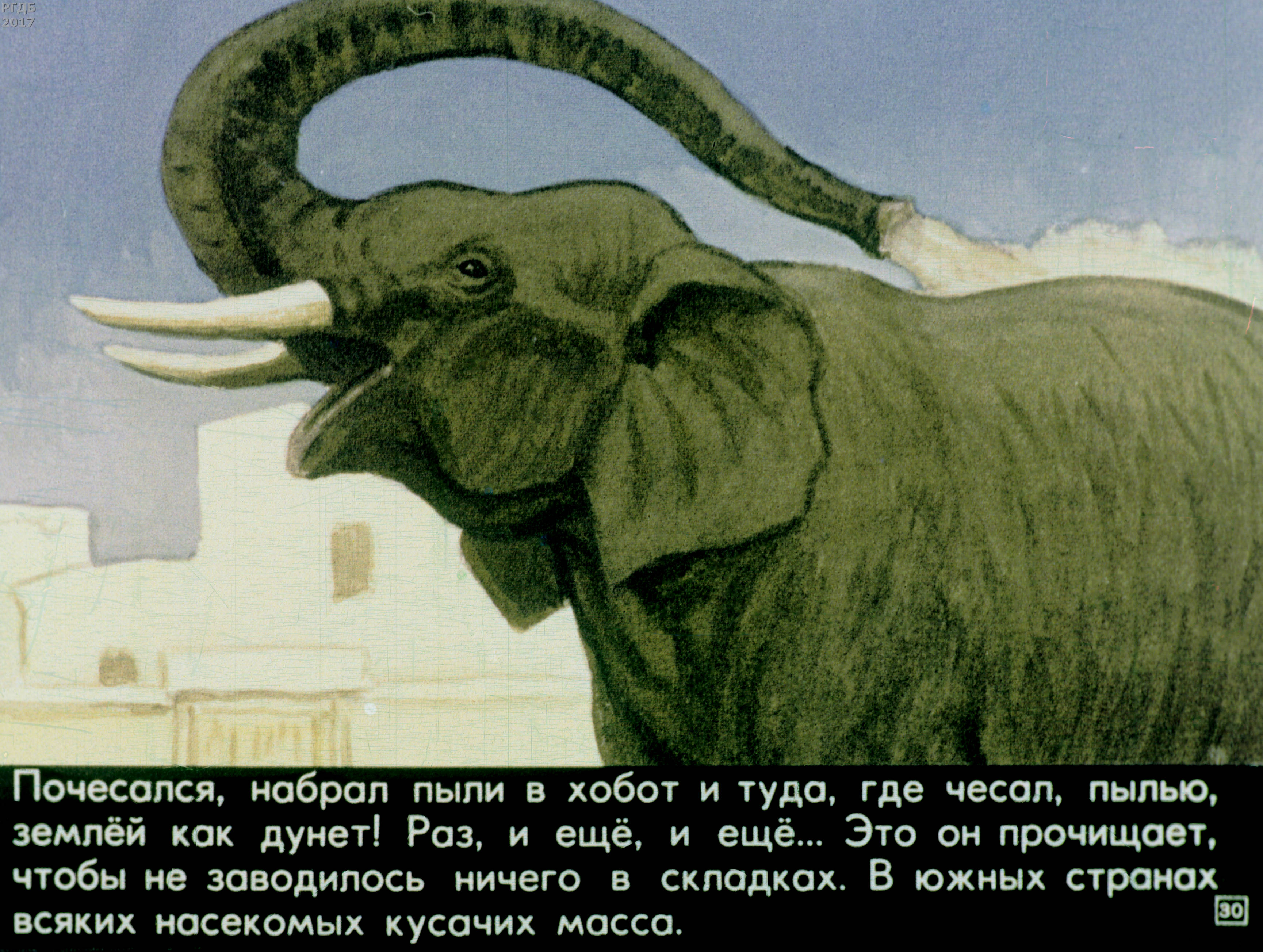 Читать про слона. Рассказ б.с. Житкова «про слона». Б Житков рассказ про слона. Житков про слона иллюстрации.