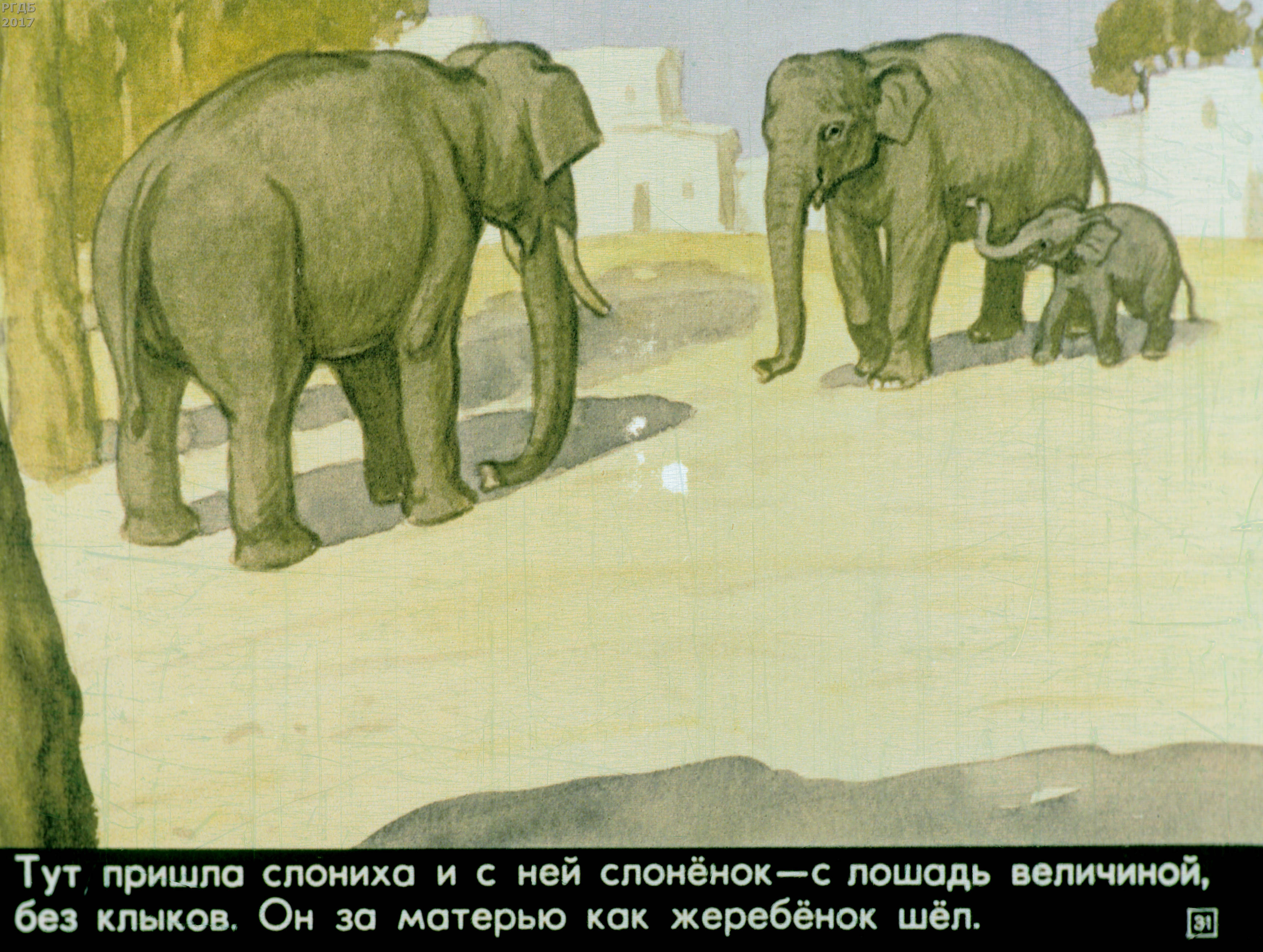 Читательский дневник про слона. Рассказ б.с. Житкова «про слона». Рассказ Житкова про слона.