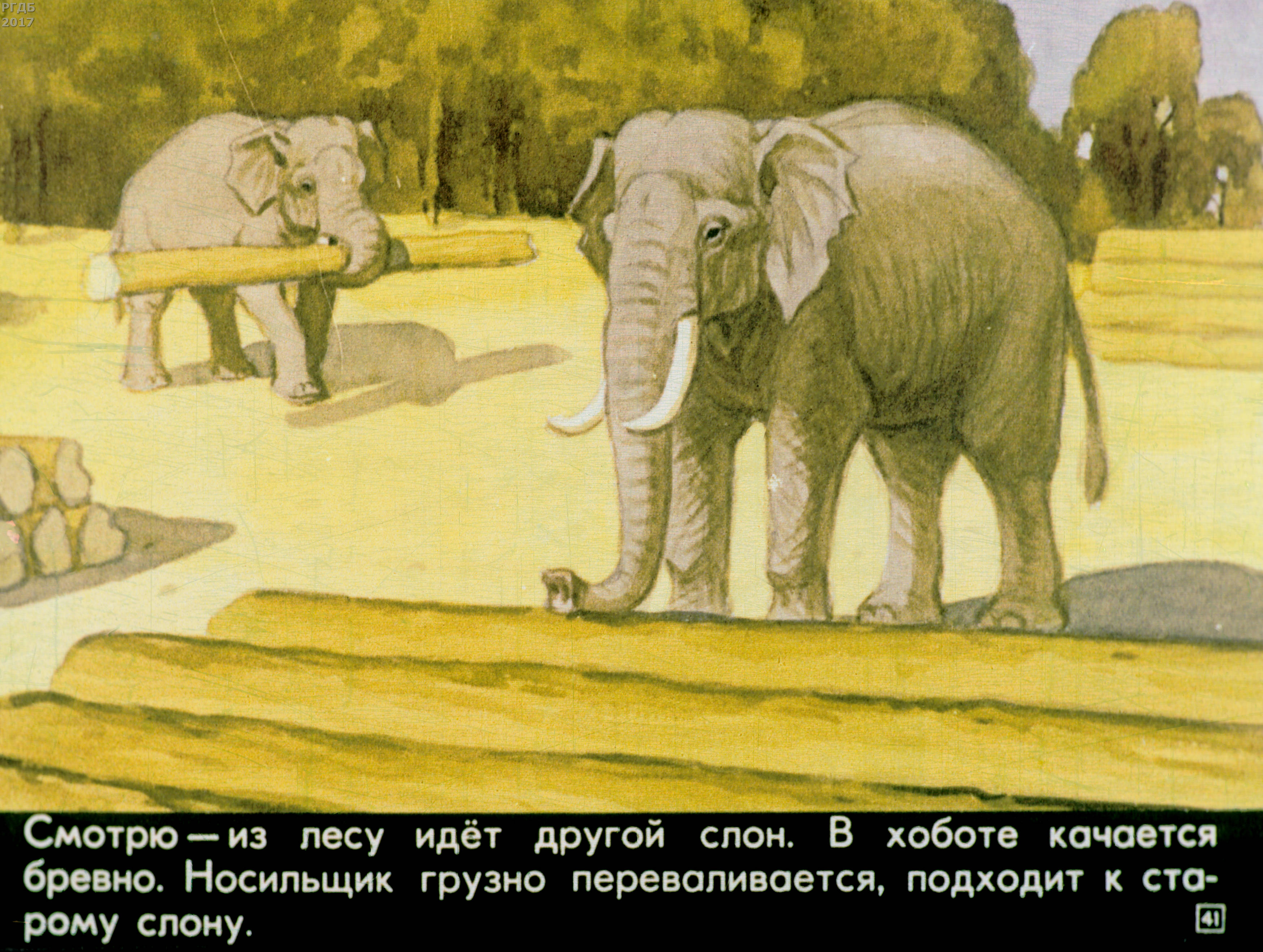 История слоника. Житков про слона иллюстрации. Иллюстрация к рассказу про слона Житков. Диафильм Житков про слона.