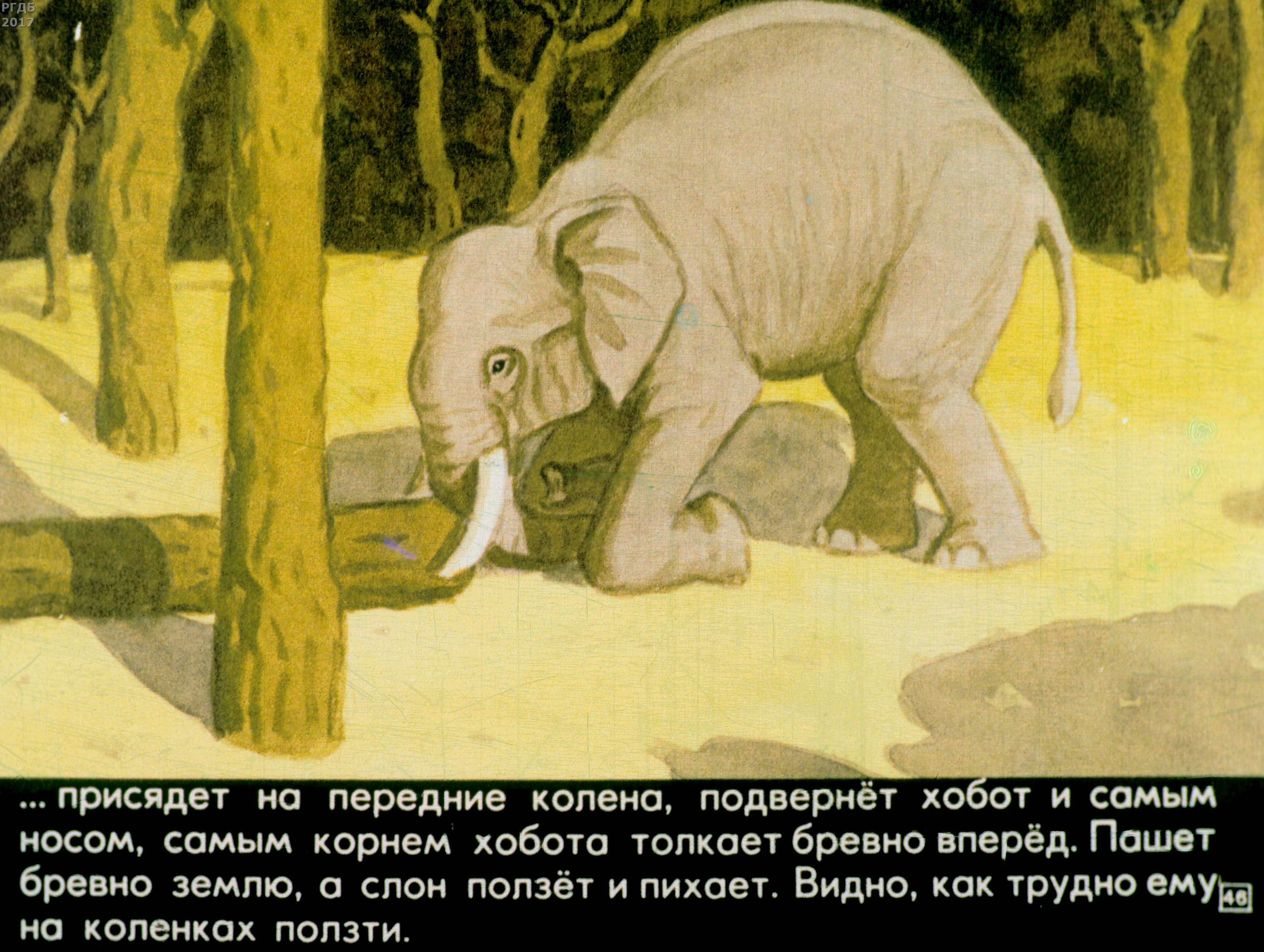 Читать про слона. Рассказ про слона Житков. Рассказ Житкова про слона.