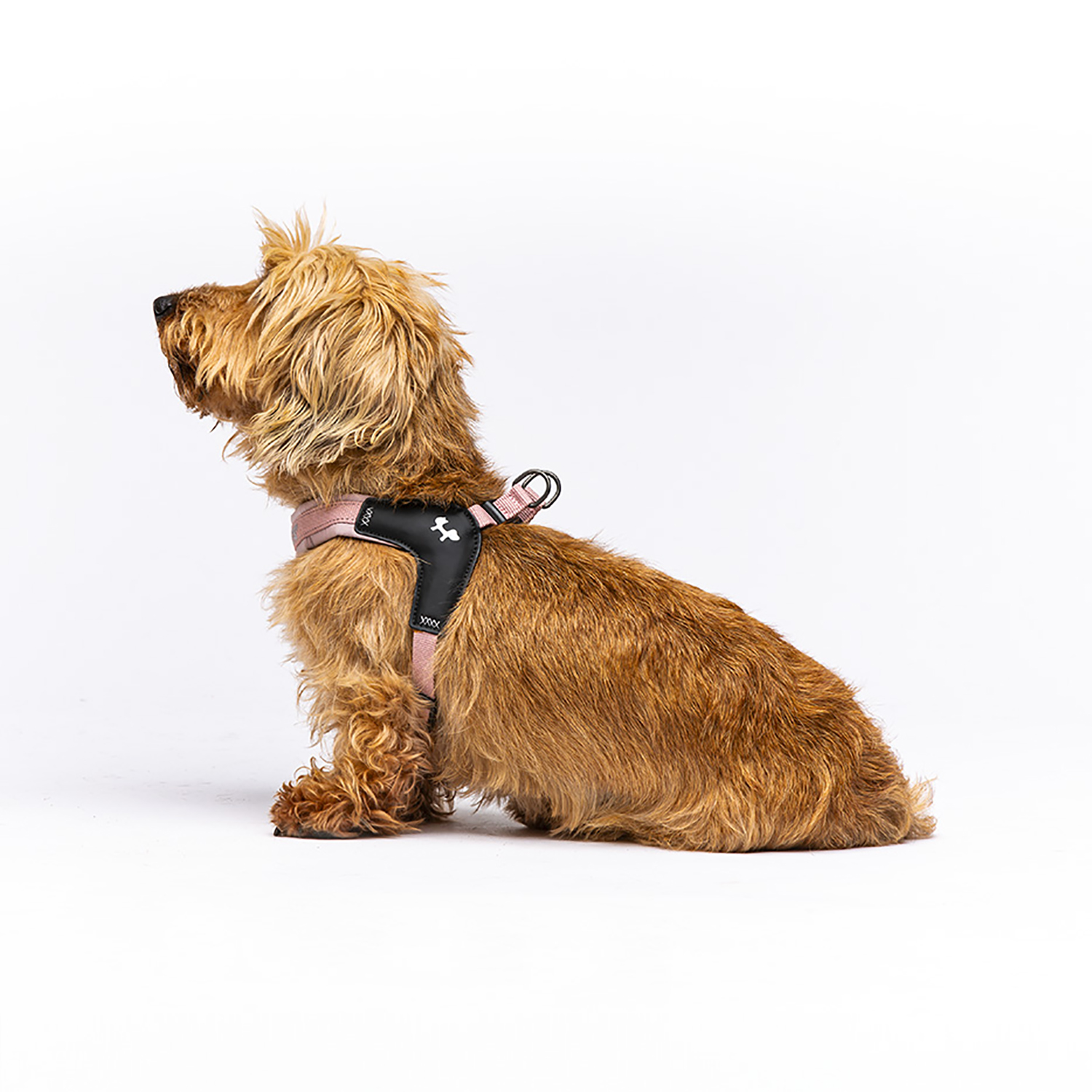 Шлейка United Pets для собак Citylife XS 15 x 30-40, пыльная роза