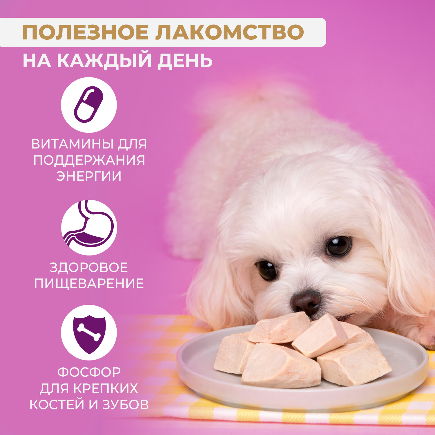 Лакомство Ranova для собак сублимированное Курица, 50 г