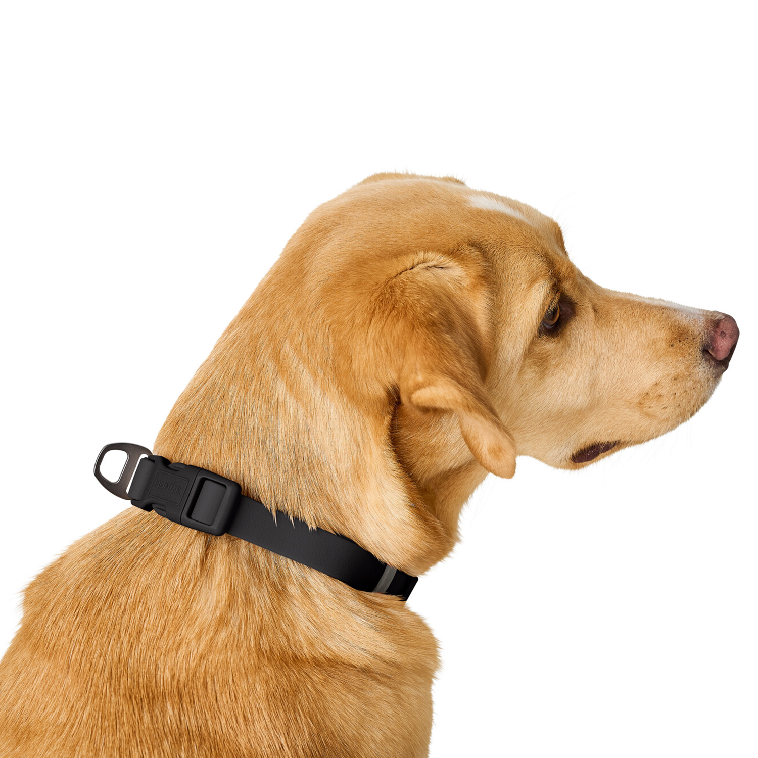 Hunter ошейник для собак Havanna L (40-55 см), биотановый, черный