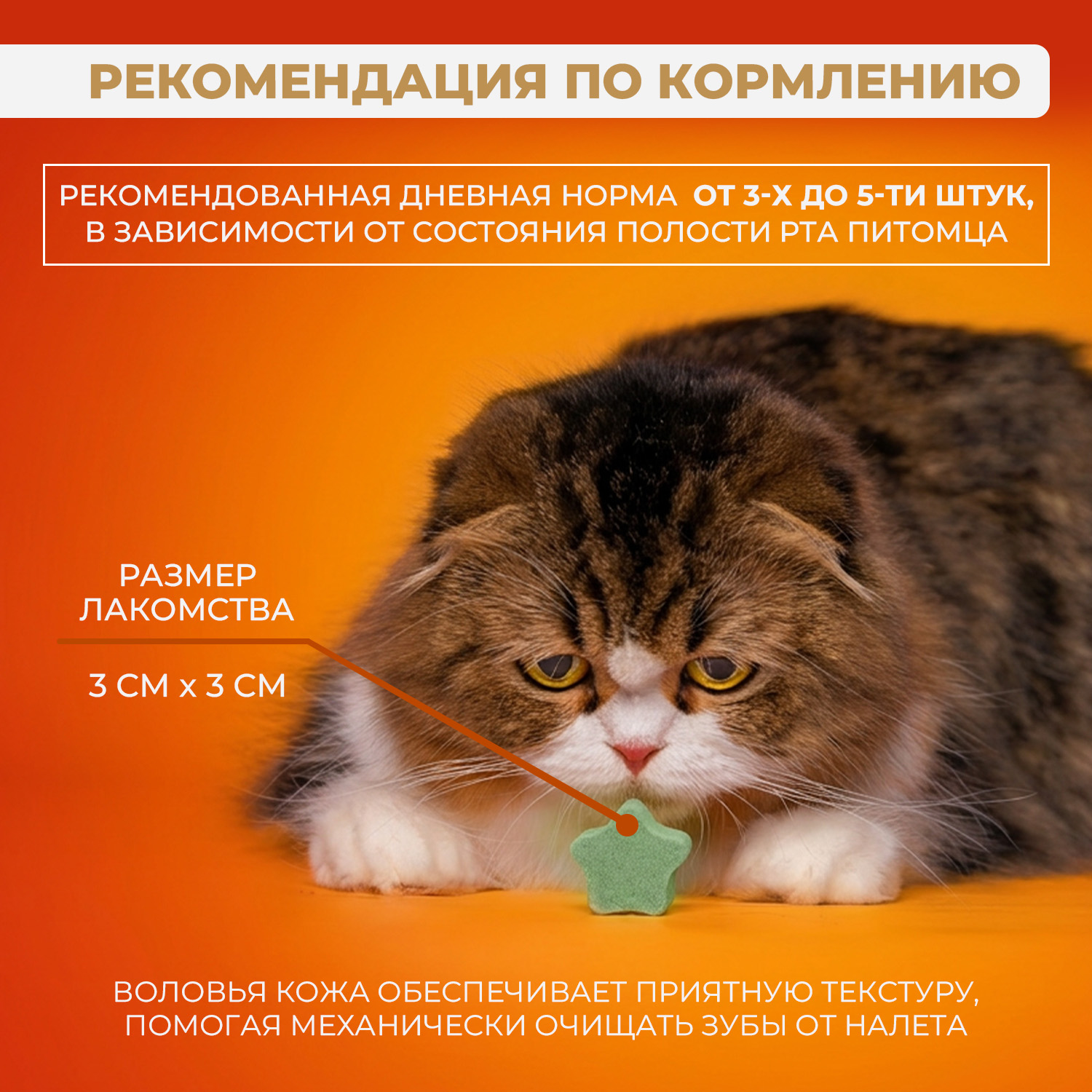 Лакомство Ranova для кошек сублимированное Звёздочка для зубов с курицей и ячменем, 6 г