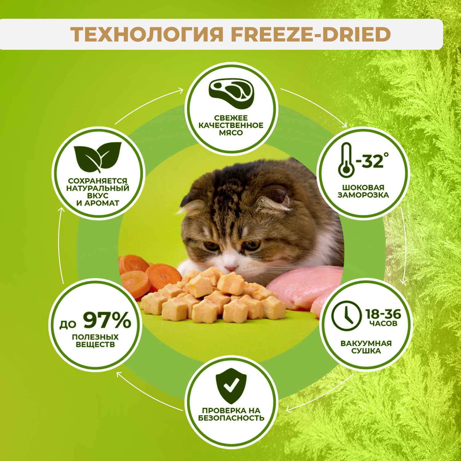 Лакомство Ranova для кошек сублимированное Звёздочка для зубов с курицей и морковью, 36 г