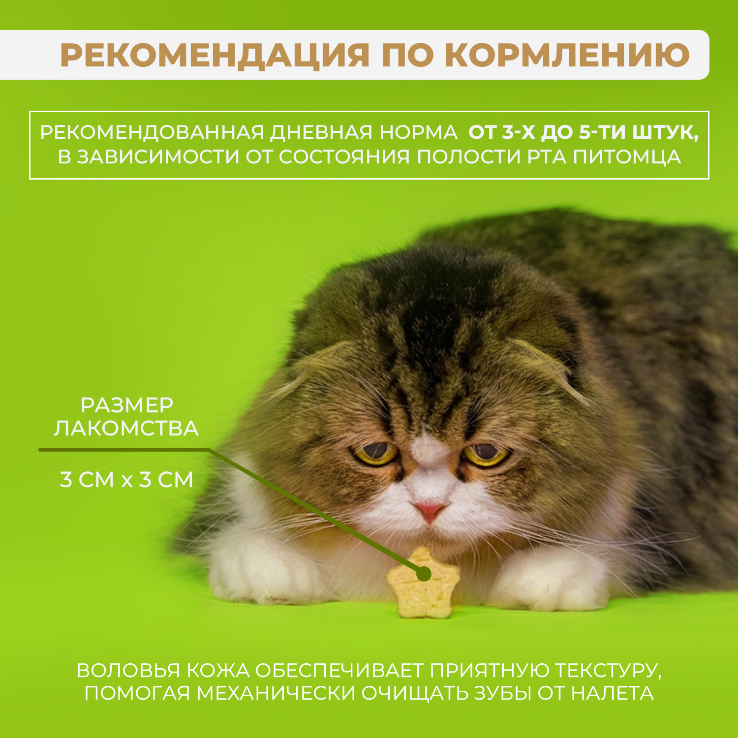 Лакомство Ranova для кошек сублимированное Звёздочка для зубов с курицей и морковью, 36 г