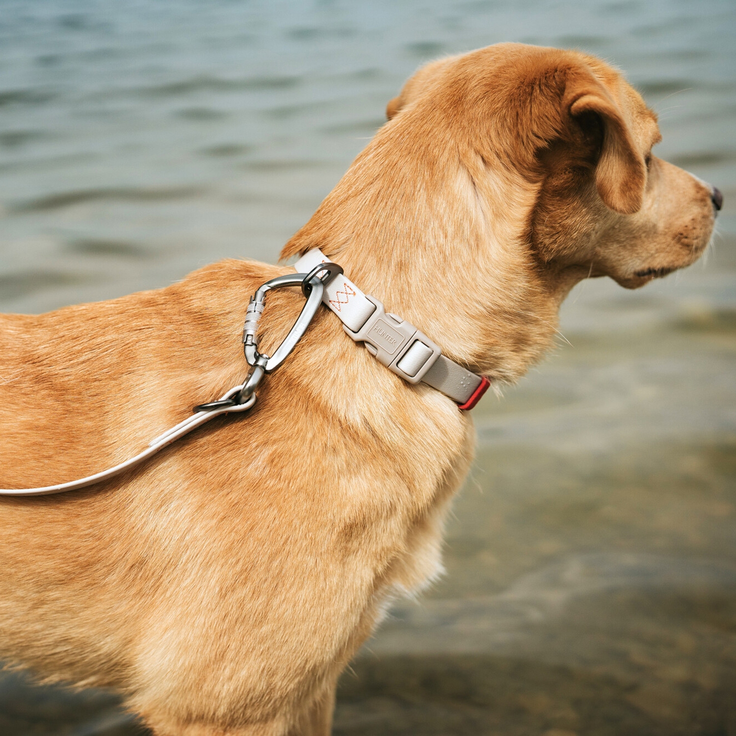 Hunter ошейник для собак Havanna M (30-45 см), биотановый, бежевый