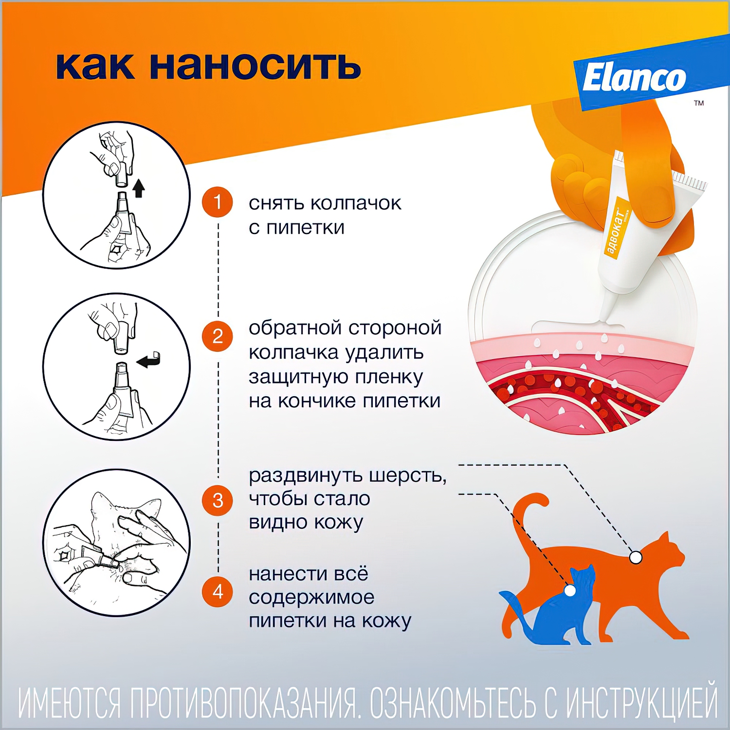 Bayer Адвокат капли для кошек 4-8 кг от чесоточных клещей, блох и гельминтов (3 пипетки х 0,8 мл)