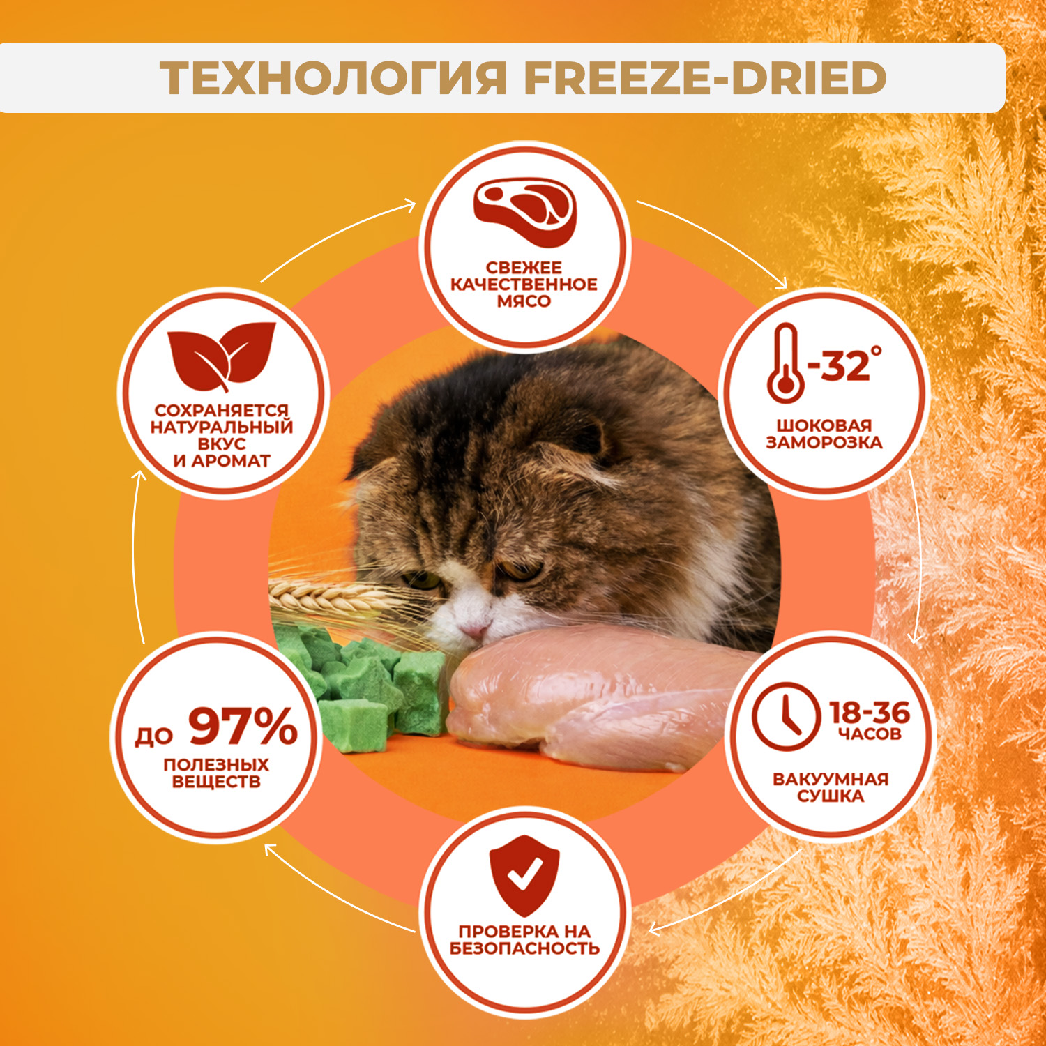 Лакомство Ranova для кошек сублимированное Звёздочка для зубов с курицей и ячменем, 36 г