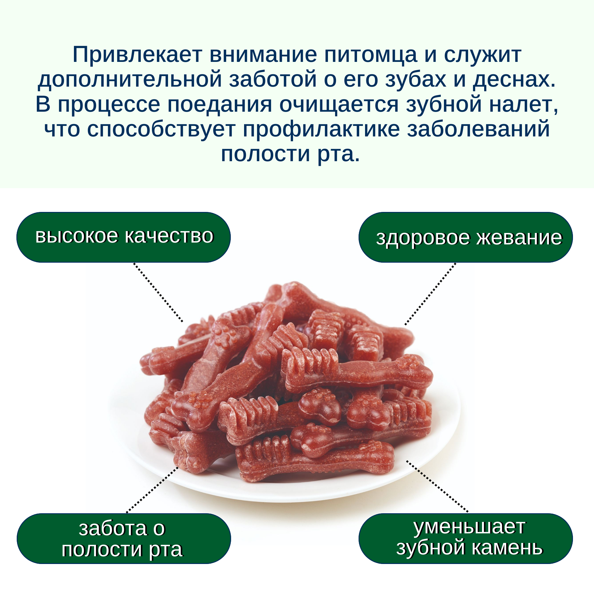 Wanpy Dog Лакомство для собак "Зубные щетки со вкусом говядины" 100 г