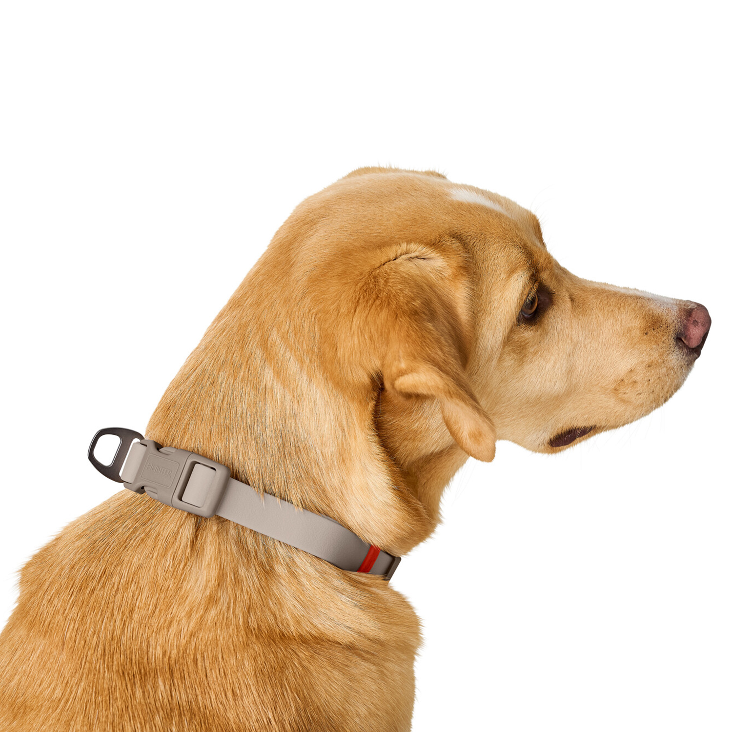 Hunter ошейник для собак Havanna XL (45-65 см), биотановый, бежевый