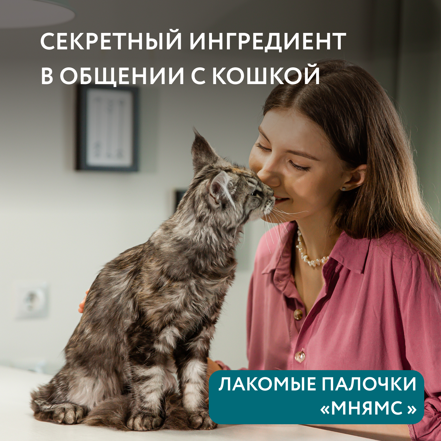 Лакомство Мнямс лакомые палочки для стерилизованных кошек из индейки и цыпленка 3х5 г