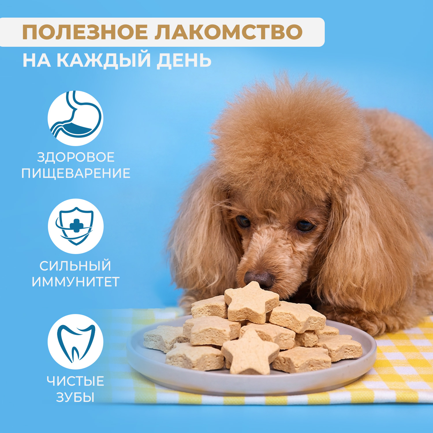 Лакомство Ranova для собак сублимированное Звёздочка для зубов с курицей и хурмой, 45 г