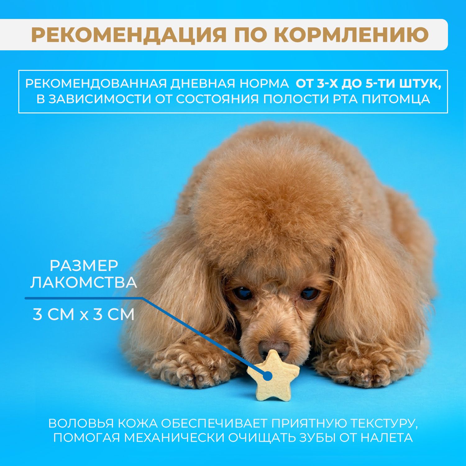 Лакомство Ranova для собак сублимированное Звёздочка для зубов с курицей и хурмой, 45 г