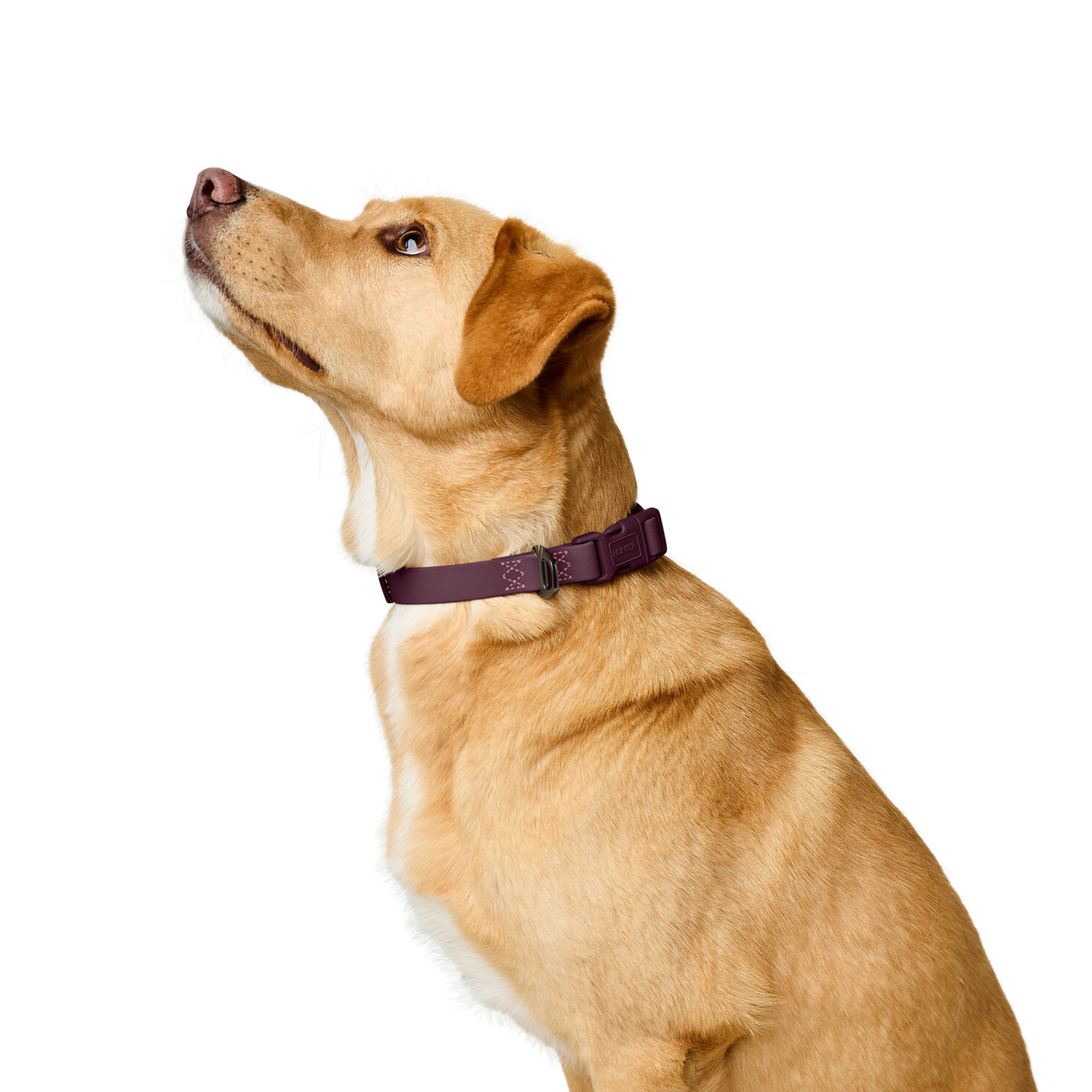 Hunter ошейник для собак Havanna XL (45-65 см), биотановый, бордовый