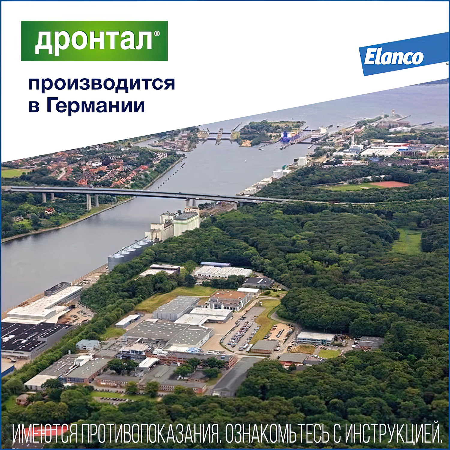 Bayer Дронтал таблетки от гельминтов для кошек 2 таб.