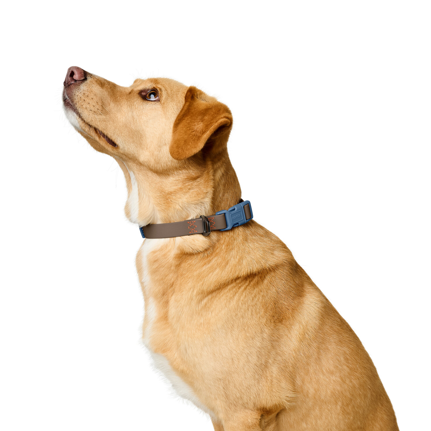 Hunter ошейник для собак Havanna L (40-55 см), биотановый, дымчатый серый