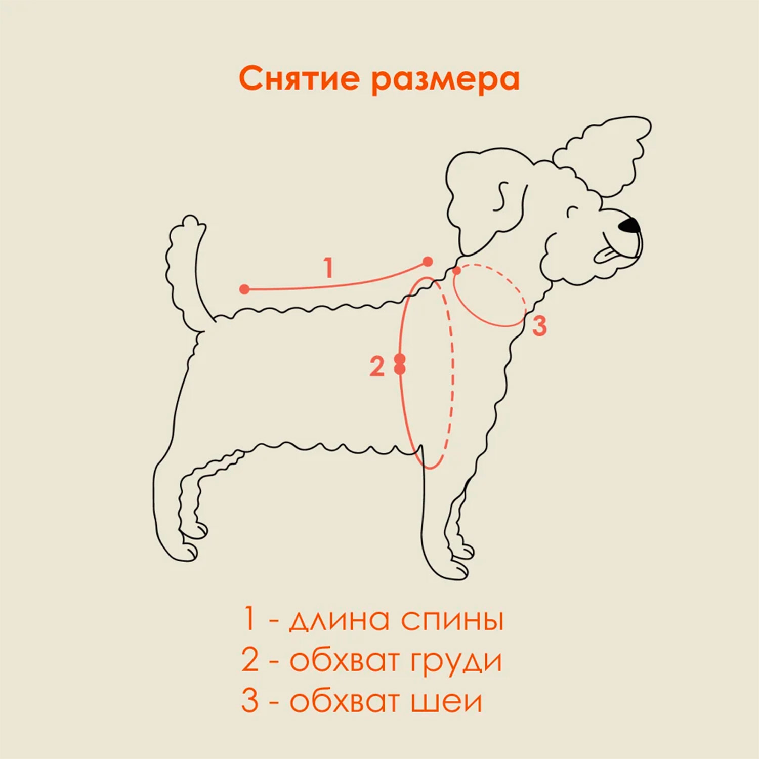 Muzzle Демисезонный дождевик для мелких и средних пород собак (XL, Темно-серый)