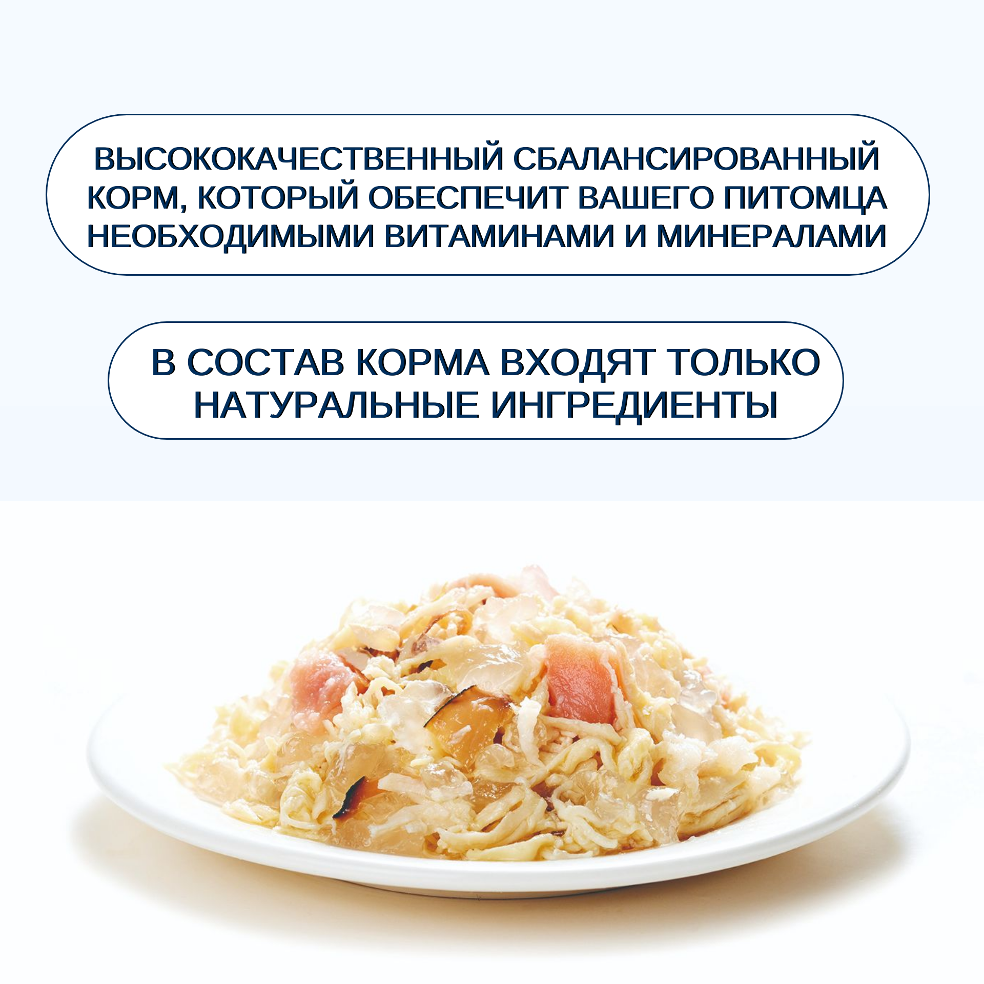 Wanpy Cat Консервы для кошек "Курица с лососем" 95 г