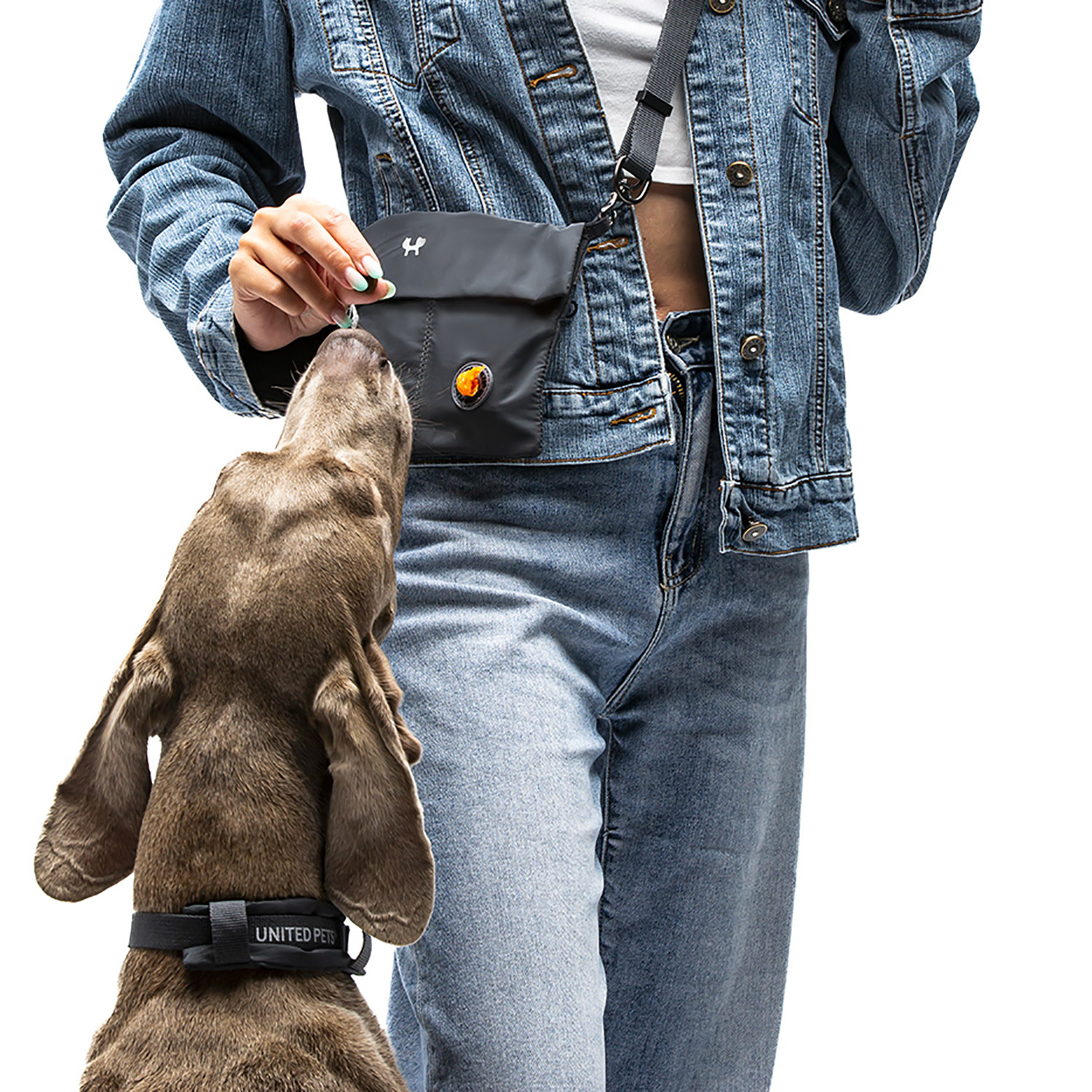 Сумка для прогулки с питомцем United Pets Citylife 23 x 16 см, черный