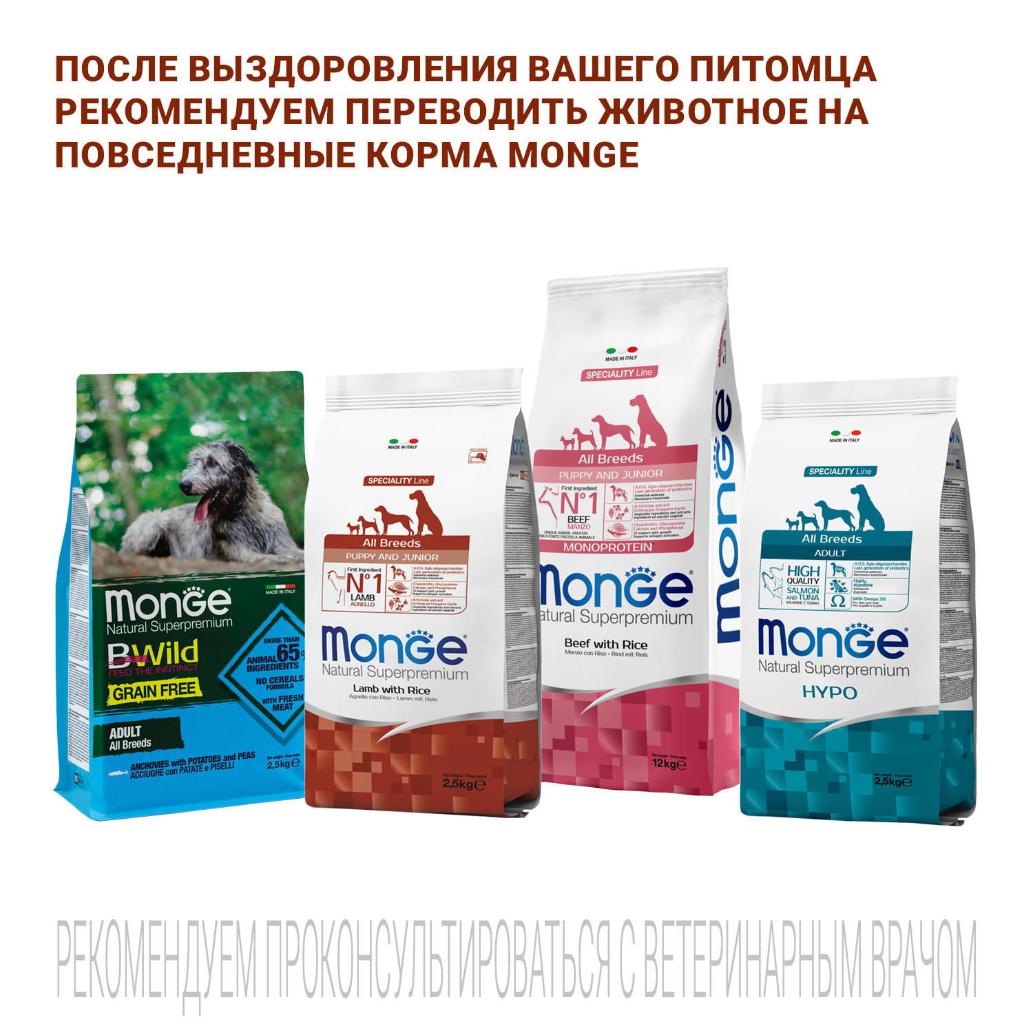 Ветеринарная диета Monge VetSolution Dog Renal and Oxalate Ренал и Оксалат для собак при ХПН 2 кг