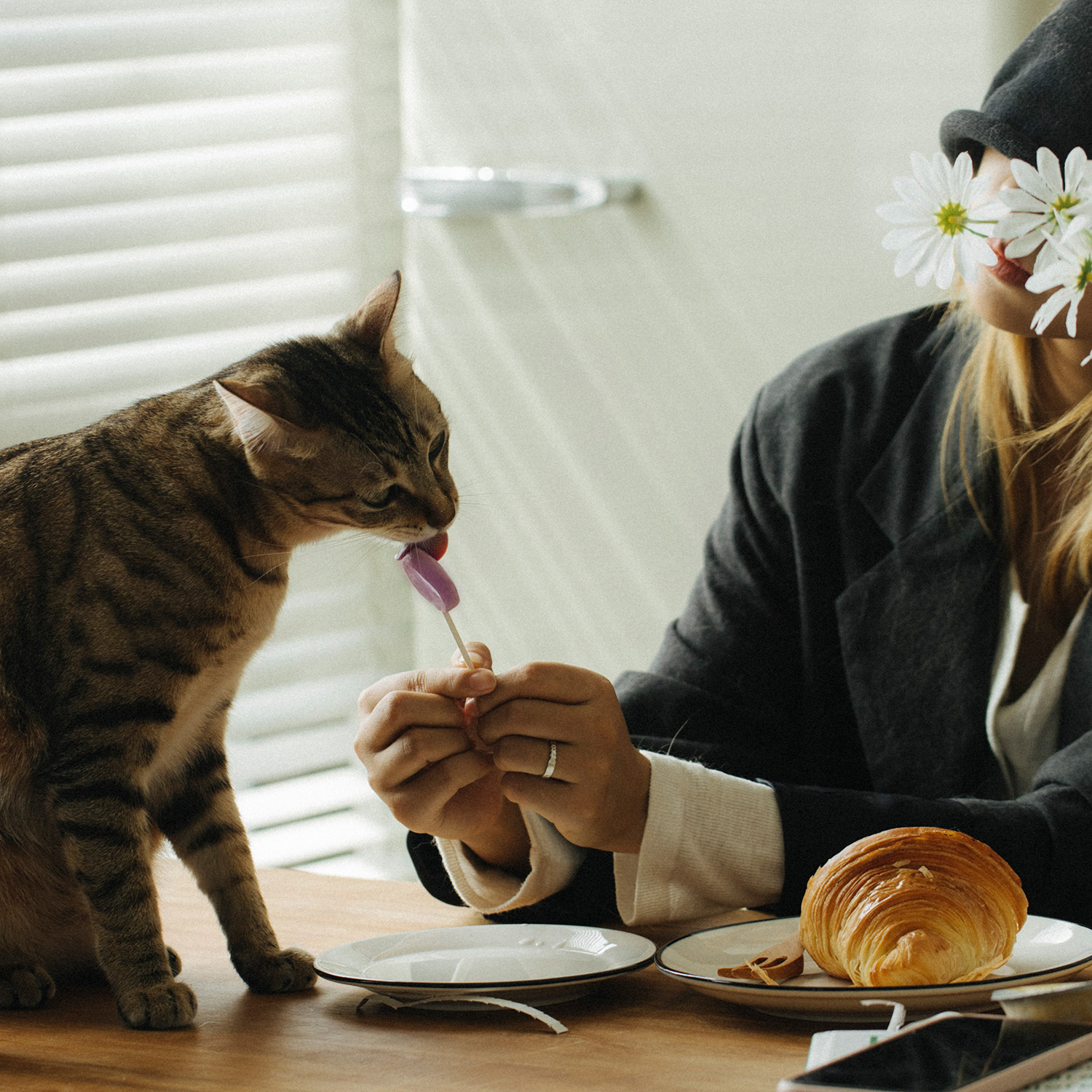 Лакомство Ranova для кошек сублимированное на палочке микс вкусов: козье молоко*3; клюква*3; тыква*3; черника*3; ячмень*3, 1,4 г х 15 шт