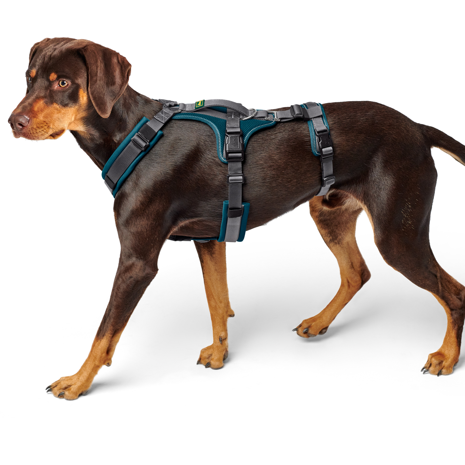 Hunter шлейка для собак Safety Maldon M (50-84 / 53-71 / 2,5 см) с ручкой, нейлон, сине-зеленый/серый СКИДКА 50%