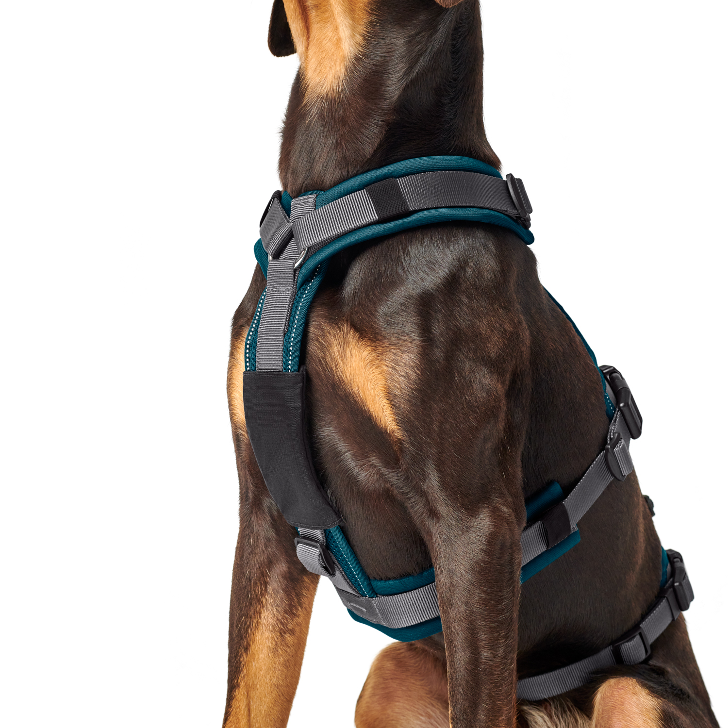 Hunter шлейка для собак Safety Maldon M (50-84 / 53-71 / 2,5 см) с ручкой, нейлон, сине-зеленый/серый СКИДКА 50%