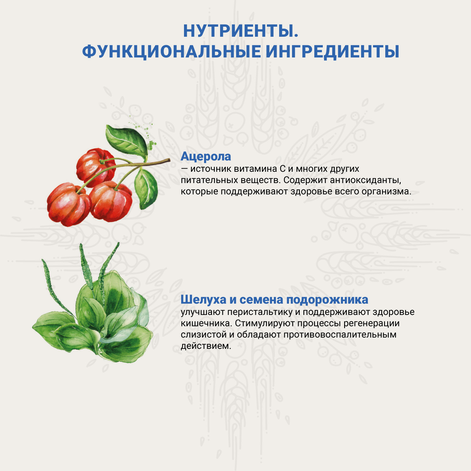 Ветеринарная диета CRAFTIA GALENA CAT URINARY CARE Уринари для кошек для растворения струвитных камней 4,5 кг