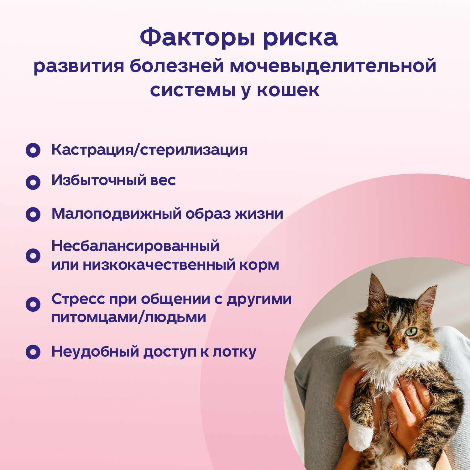 Protexin Цистофан  30 капсул