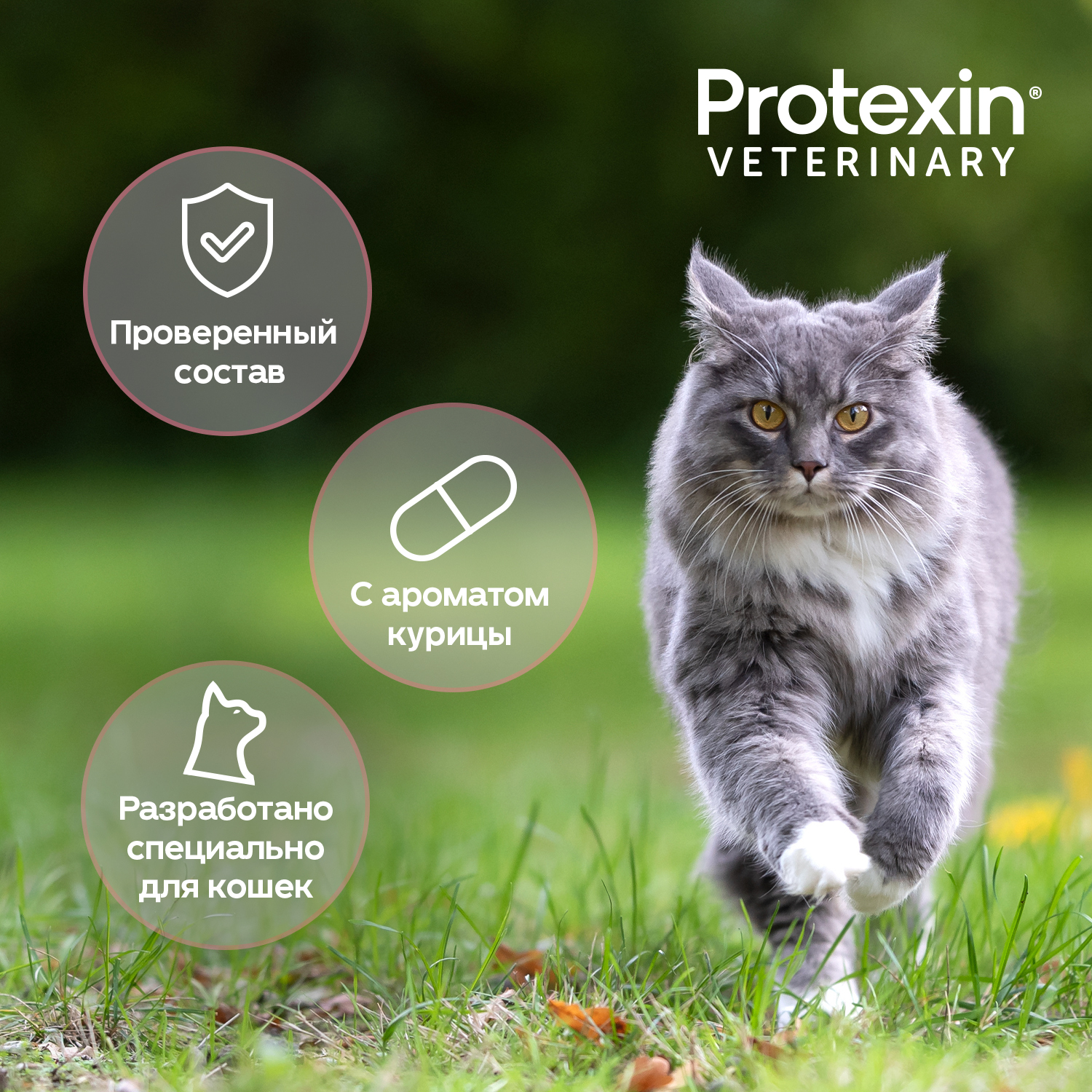 Protexin Цистофан  30 капсул