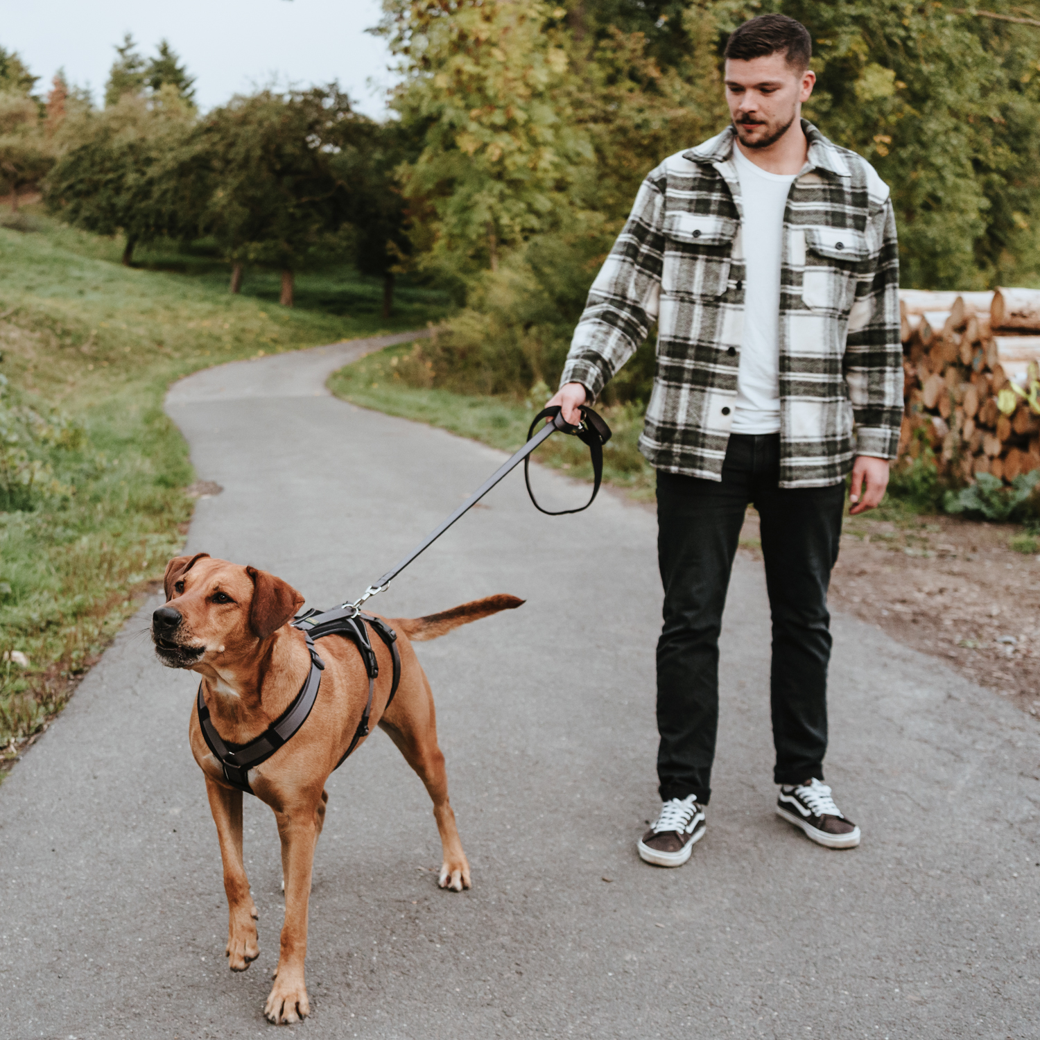 Hunter шлейка для собак Safety Maldon S-M (46-82 / 47-69 / 2 см) с ручкой, нейлон, черный/серый СКИДКА 50%