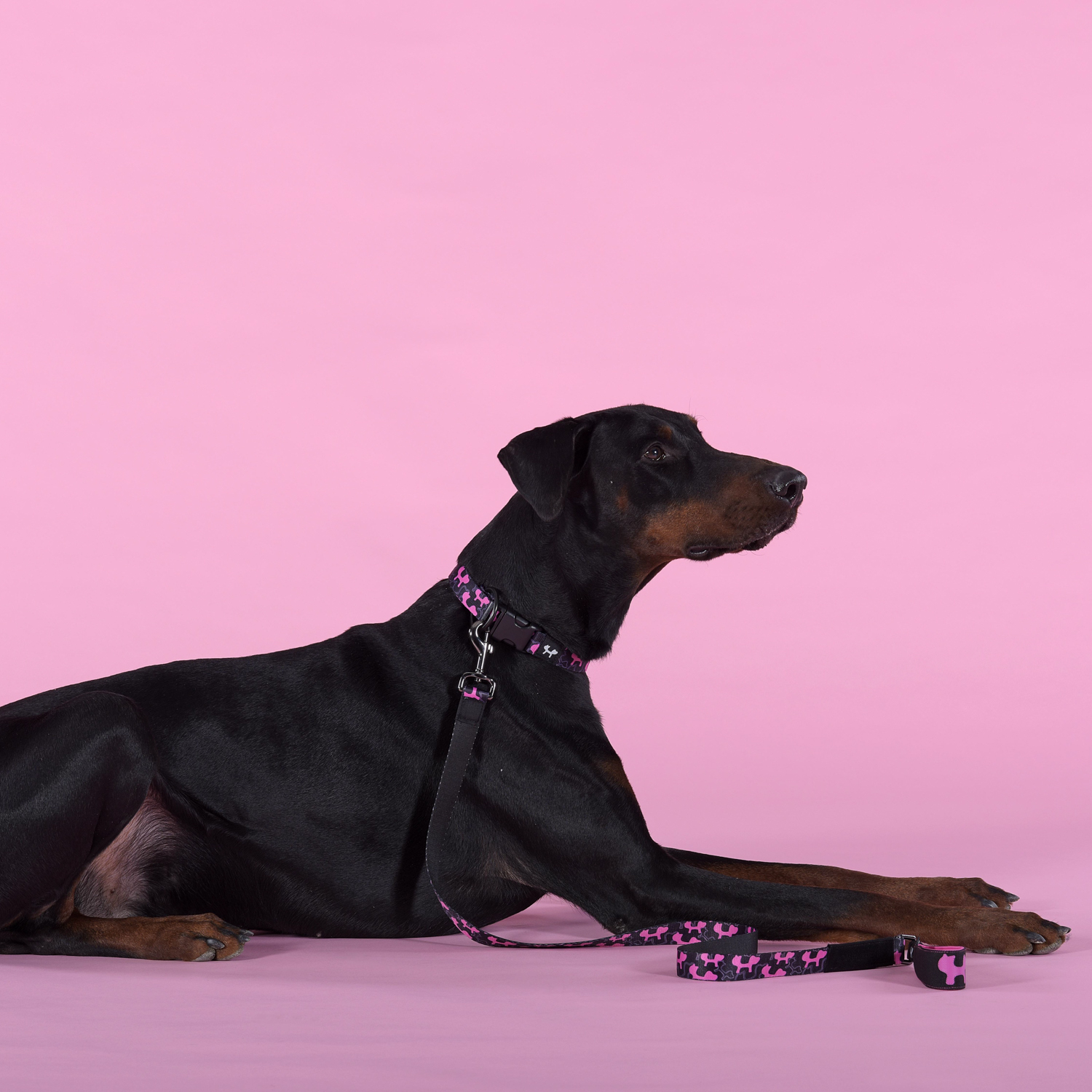 Ошейник United Pets для собак Complete me Identity M 34-56/2 см, черный с розовым
