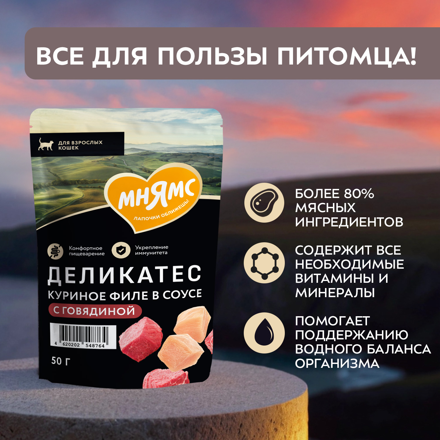 Влажный корм Мнямс Деликатес Куриное филе с говядиной в соусе для кошек 50 г