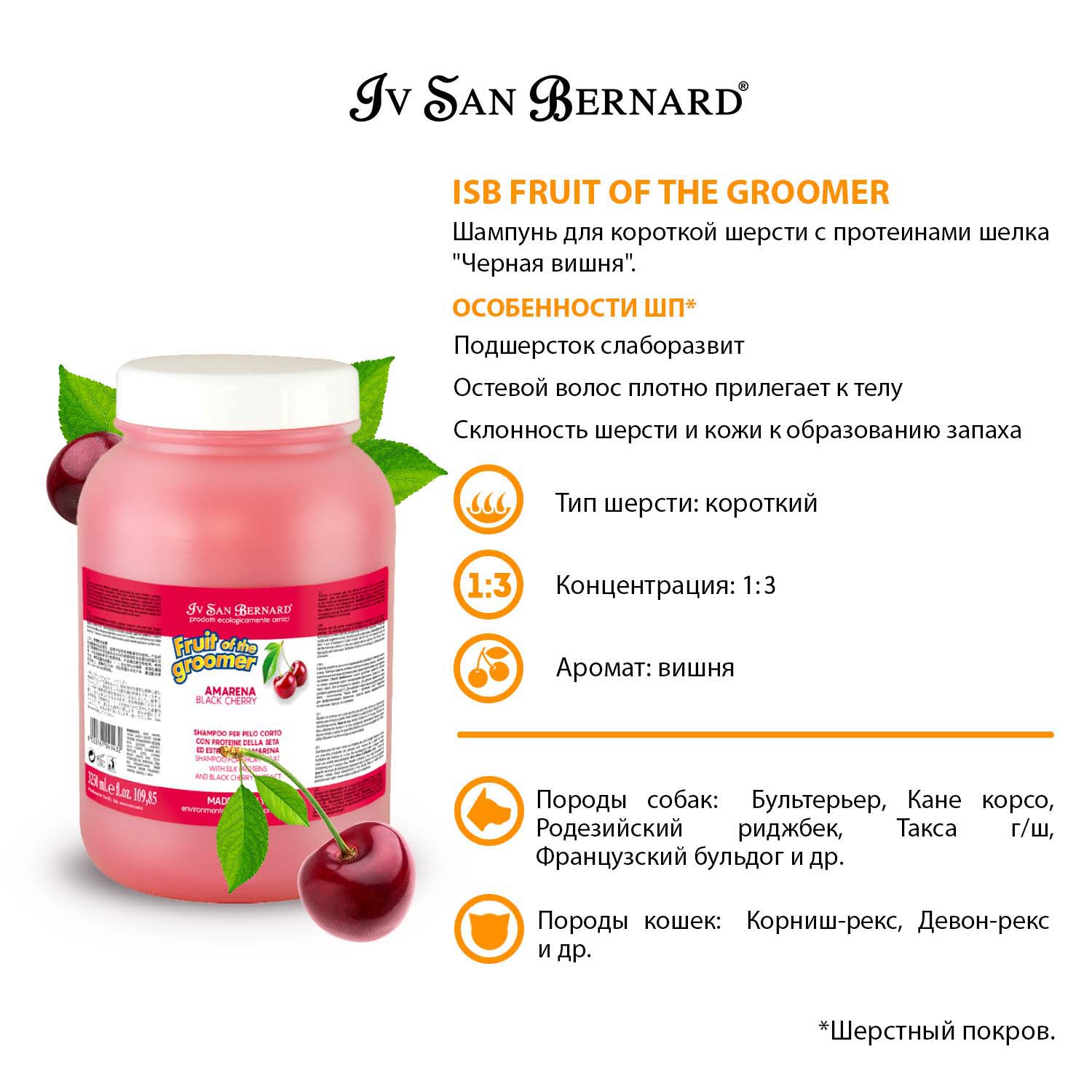 ISB Fruit of the Groomer Black Cherry Шампунь для короткой шерсти с протеинами шелка 3,25 л