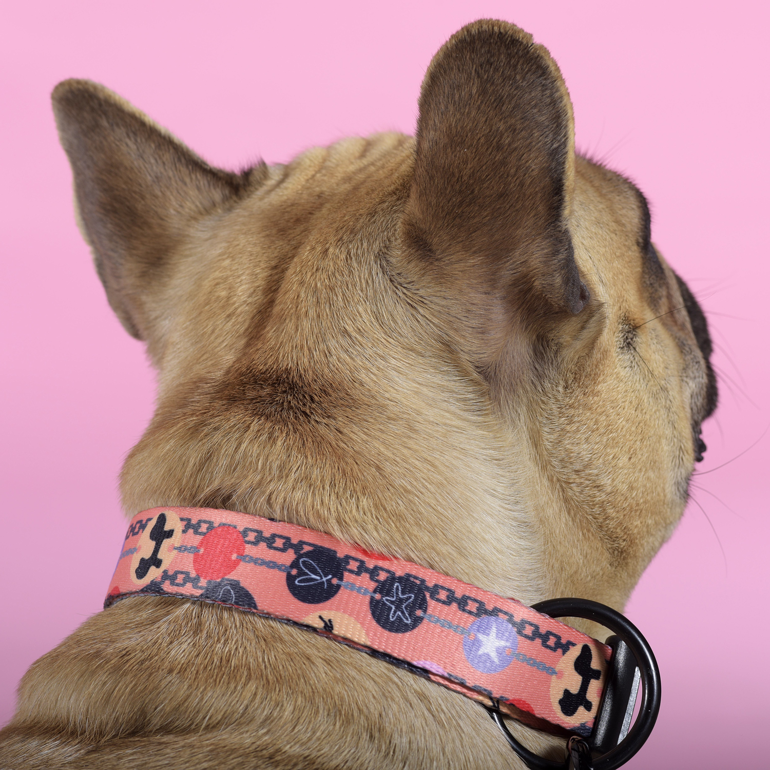 Ошейник United Pets для собак Complete me Forever L 43-73/2,5 см, оранжевый с рисунком СКИДКА 30%