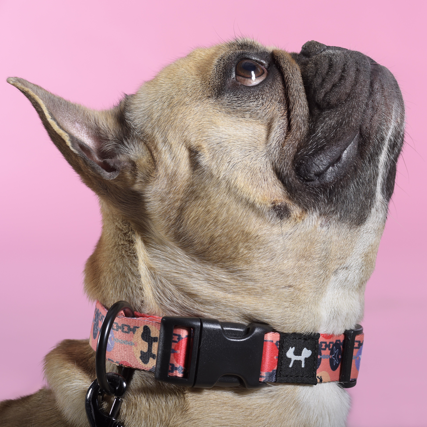 Ошейник United Pets для собак Complete me Forever L 43-73/2,5 см, оранжевый с рисунком СКИДКА 30%