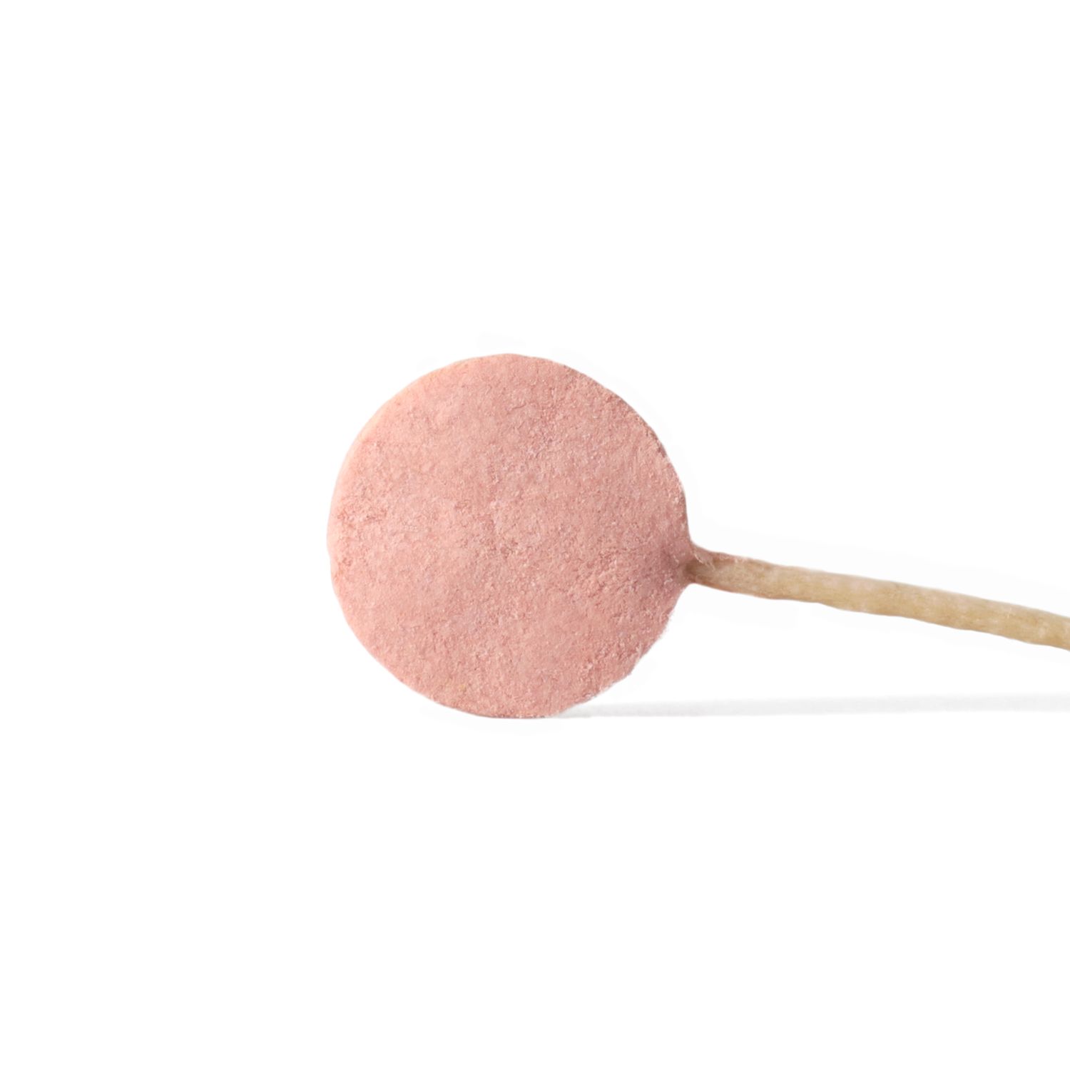 Лакомство Ranova для собак CN сублимированное на палочке с клюквой, 8 г х 6 шт